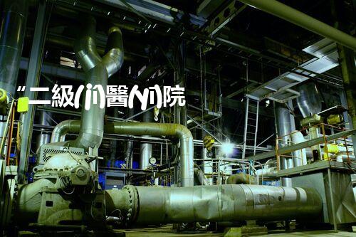 “二級(jí)醫(yī)院污水處理，綠色守護(hù)，健康同行”